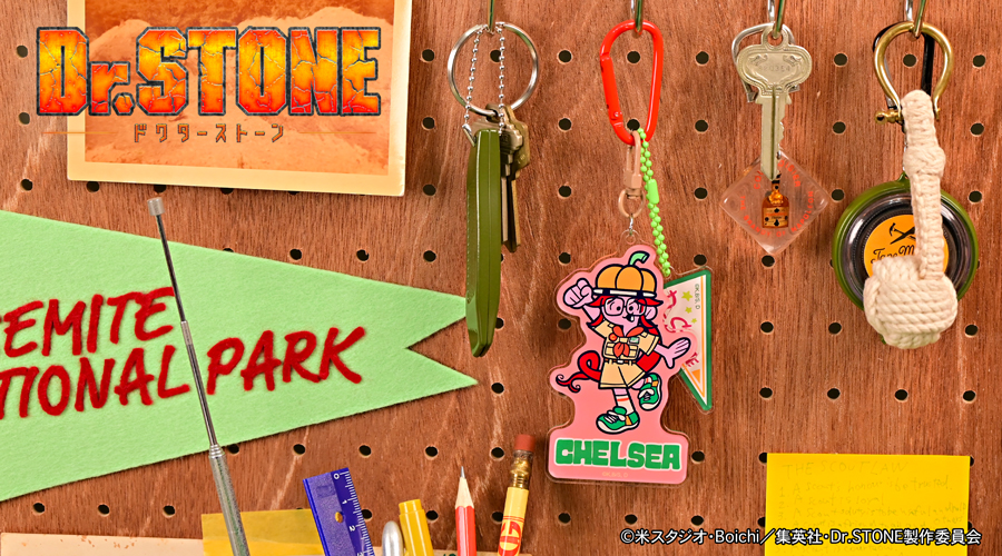 Dr.STONE｜デタッチャブルアクリルキーホルダー（チェルシー）｜アニ中ストア
