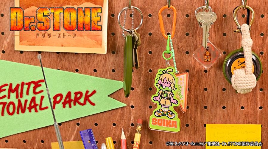 Dr.STONE｜デタッチャブルアクリルキーホルダー（7年後スイカ）｜アニ中ストア